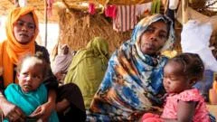 Sudan's RSF trying to cover up mass killings in el-Fasher, researchers say
