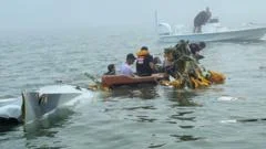 Watch: Rescuers find survivor in wreckage of Mexican Navy medical flight