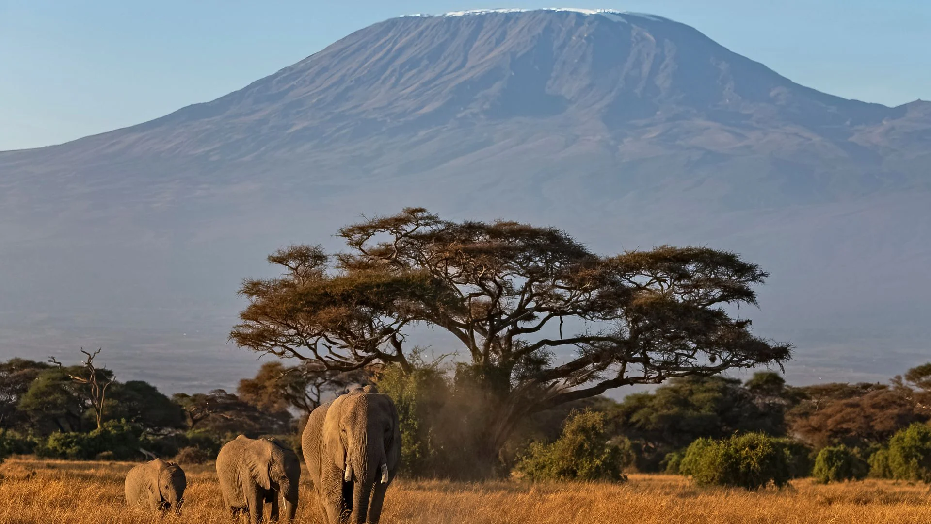Five dead in a helicopter crash on Africa's highest mountain
