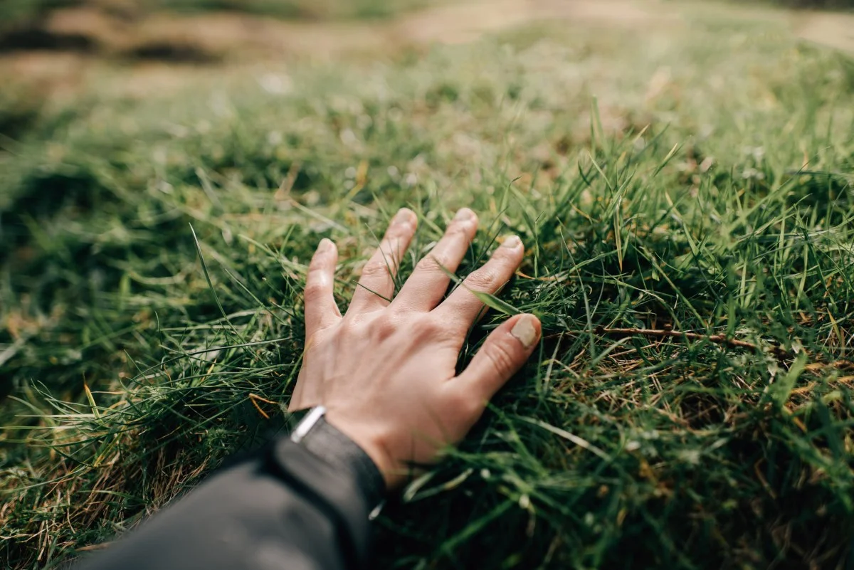 Naware’s chemical-free weed killer tech could change how we treat lawns