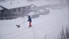Three killed in Sweden as major storm sweeps across Nordic countries