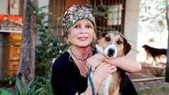 French right pushes for national tribute to film star Brigitte Bardot