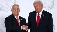 Viktor Orban's dilemma - Russian oil or Trump's favour