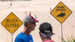 Man seriously injured in Sydney's third shark attack in two days