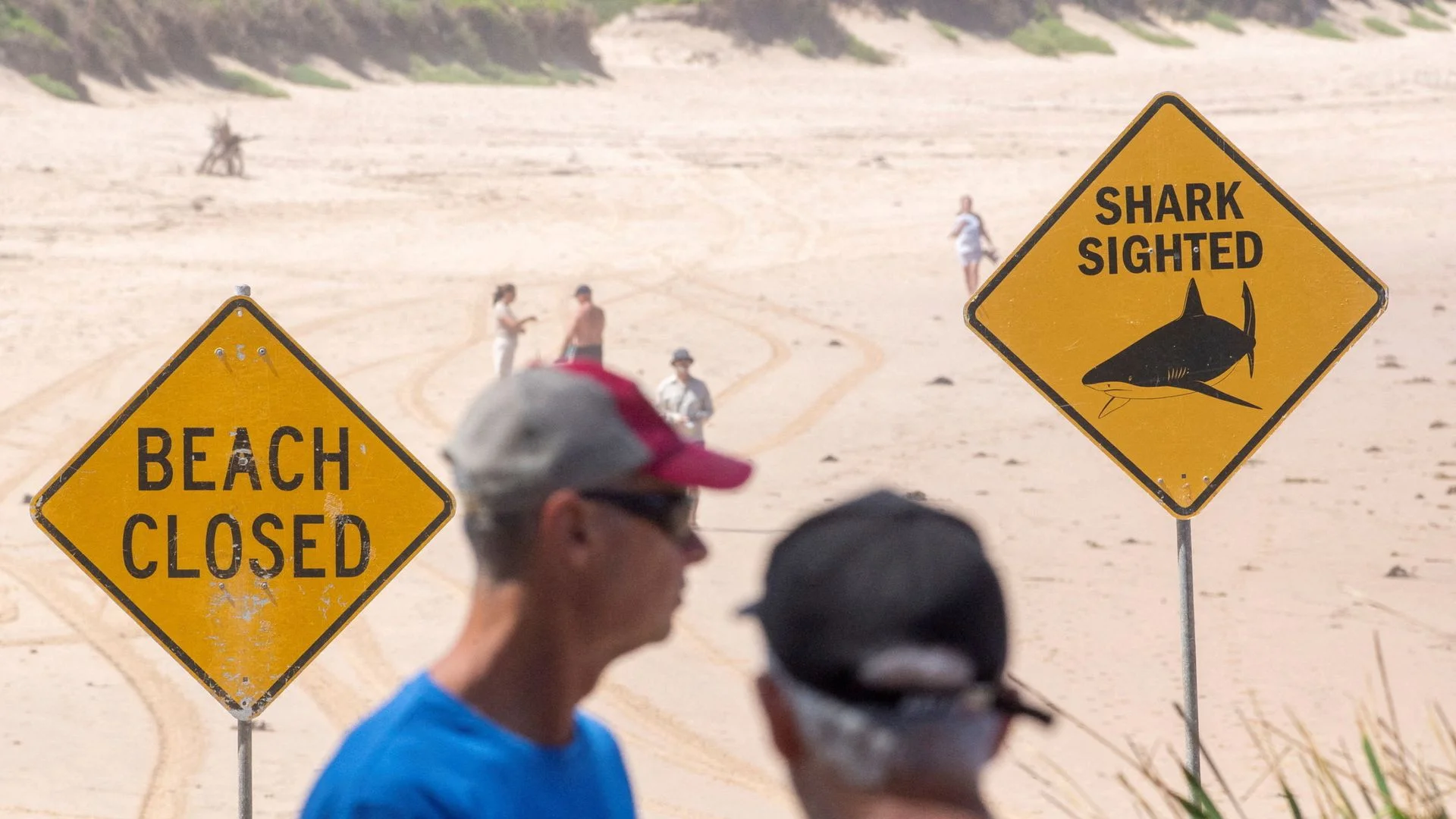Surfer 'lucky to survive' Sydney's fourth shark attack in three days