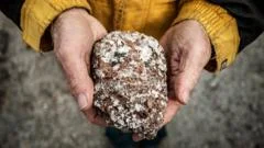 Trump covets mineral-rich Greenland, but what natural resources does it actually have?