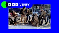 Analysing the Minneapolis shooting frame by frame