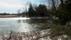 'I couldn't save them' - US mum's horror as three sons die falling through pond ice