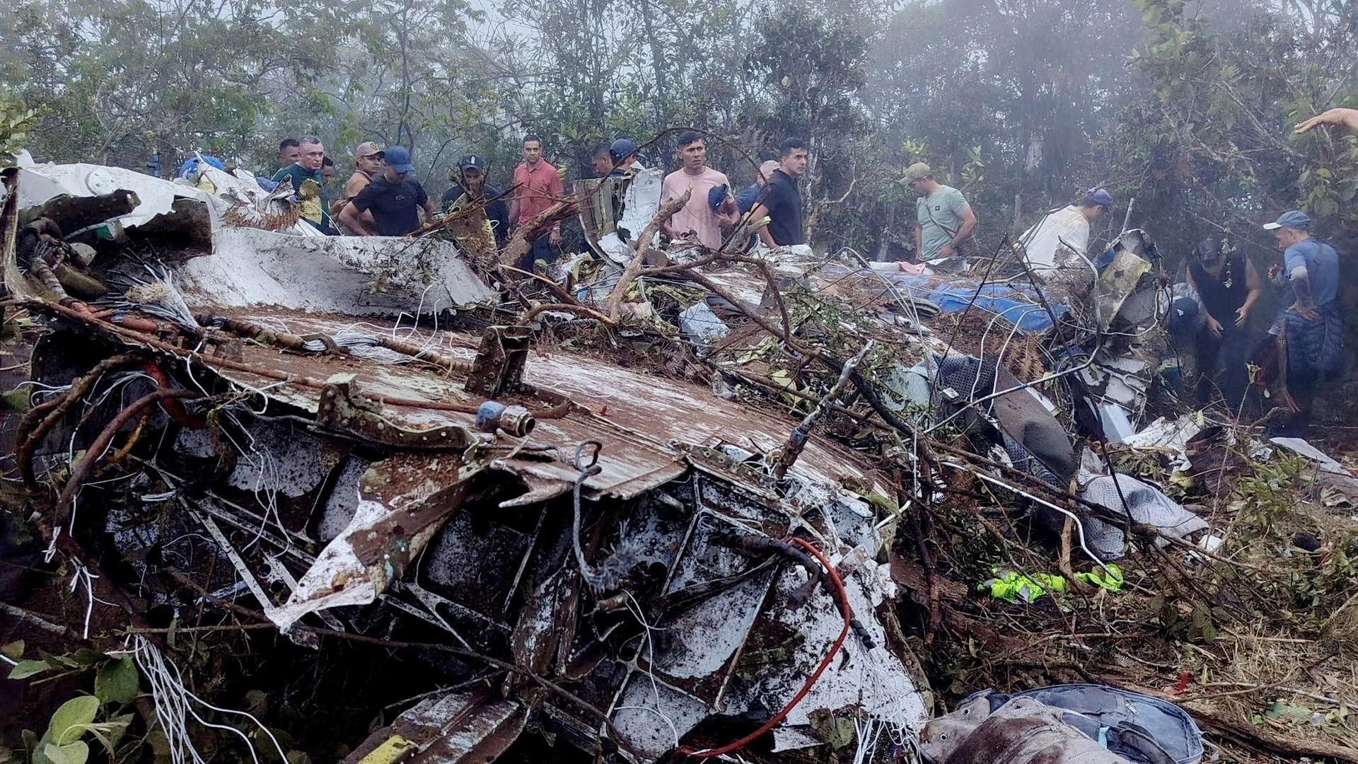 Plane crash kills 15 including politician