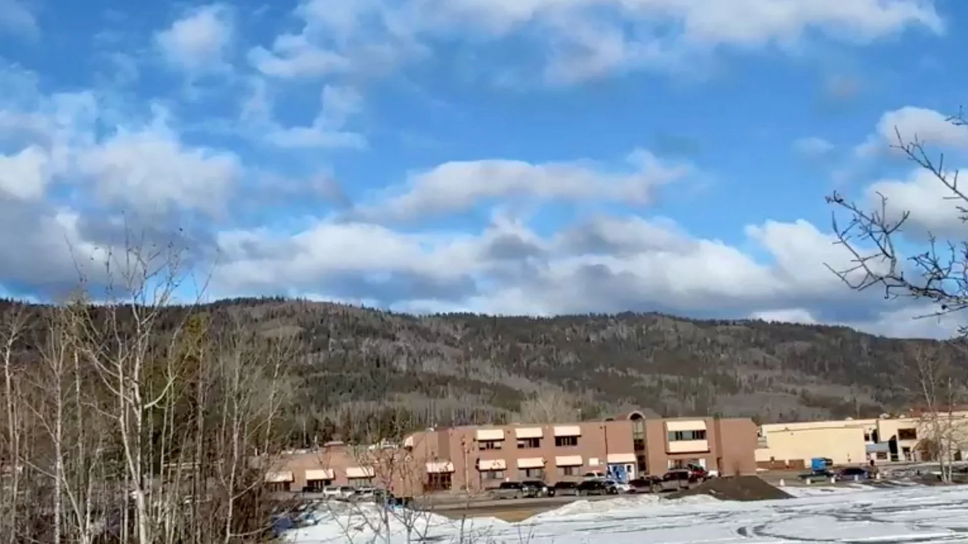 Woman linked to deadly Canada school shooting