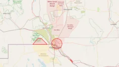 Party balloon or cartel drones? Closure of El Paso airspace causes 'chaos'