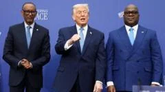 A seat at the table or on the menu? Africa grapples with the new world order