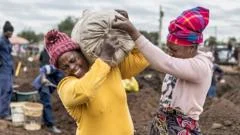 Gold fever hits South Africa after lucky find in cattle pen