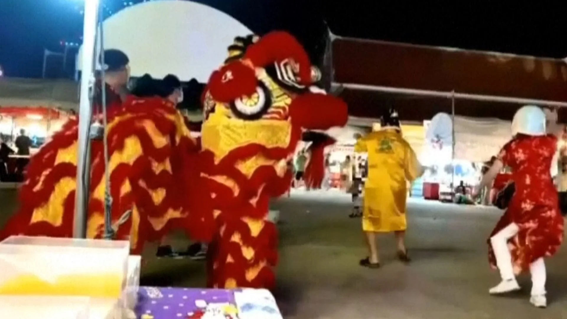 Undercover police go dancing in lion costume to catch serial burglar