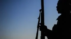 'Massive' numbers killed by gunmen in latest Nigeria attack, senator tells BBC