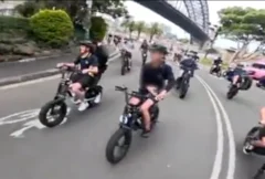 Fatbikes are wreaking havoc in Sydney's wealthy beach suburbs