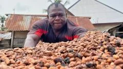 Bitter times for cocoa farmers as chocolate market slumps 