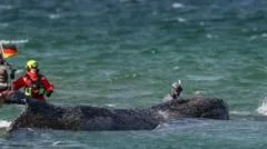 Whale swims for freedom after big German rescue effort on Baltic coast