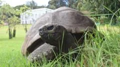 World's oldest known tortoise, Jonathan, dies aged 193