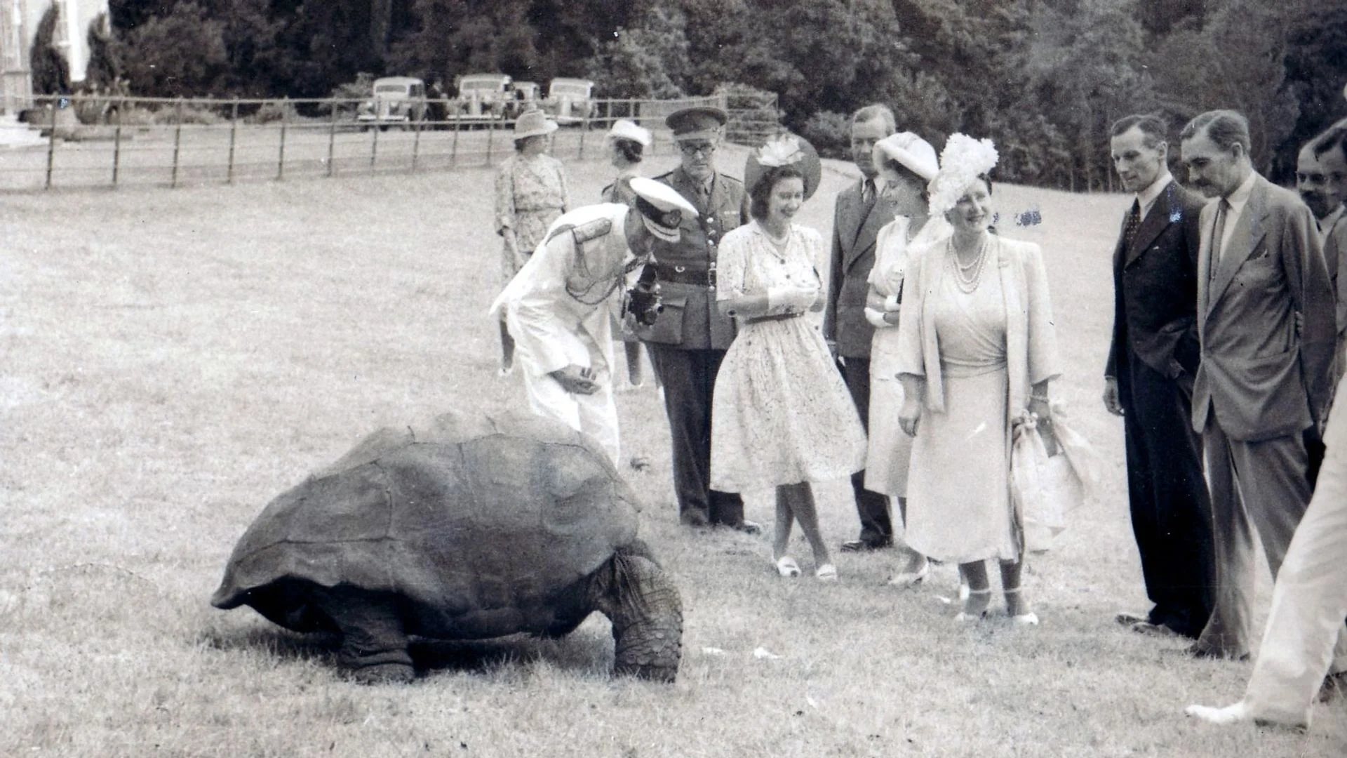 World's oldest living land animal 'alive' after getting caught up in alleged crypto scam