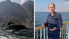 'We are at the edge of a battlefield': BBC reports near Strait of Hormuz