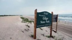 This idyllic US town was full of police families - and a serial killer in their midst
