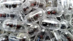 Chinese national given one year in prison for smuggling ants out of Kenya