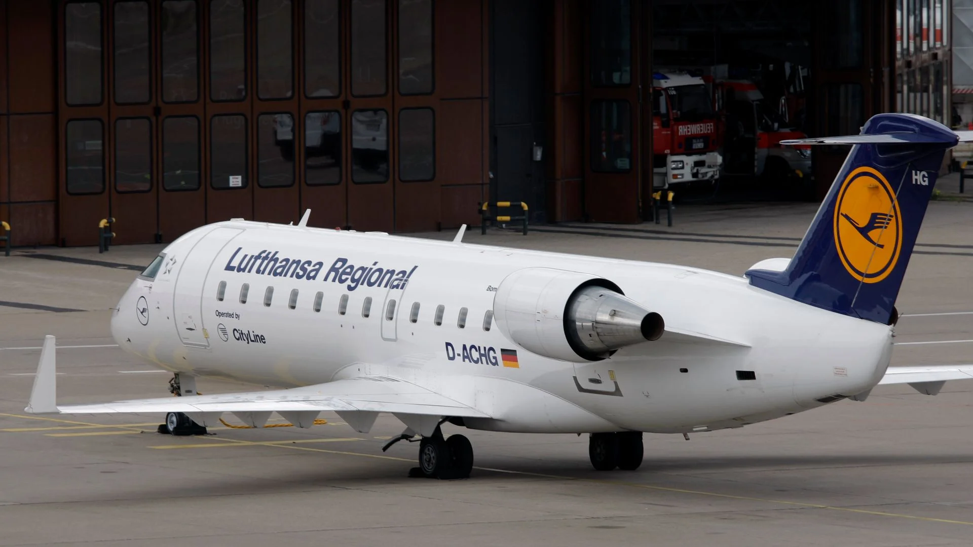 Airline cuts 20,000 flights