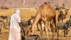 At least 42 killed in Chad after water well dispute escalates