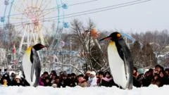 Japan zoo staffer allegedly dumps wife's body inside incinerator