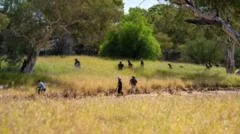 Police say they believe abducted child was murdered as body found in Outback