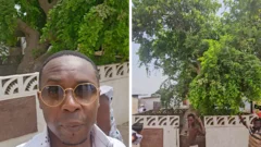 'This tree was planted by my ancestor hundreds of years ago and my family settled here'