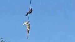 Police officer lowered into crocodile-infested river to recover human remains