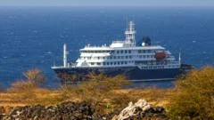 Second hantavirus case confirmed after deaths on cruise ship