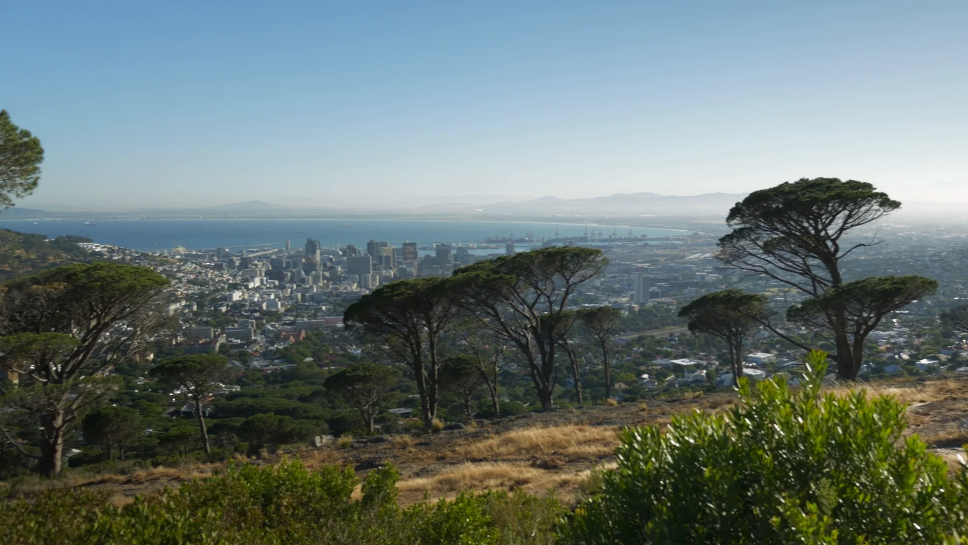 'Disingenuous thread' of the G20 - the communities shut out of South Africa's summit