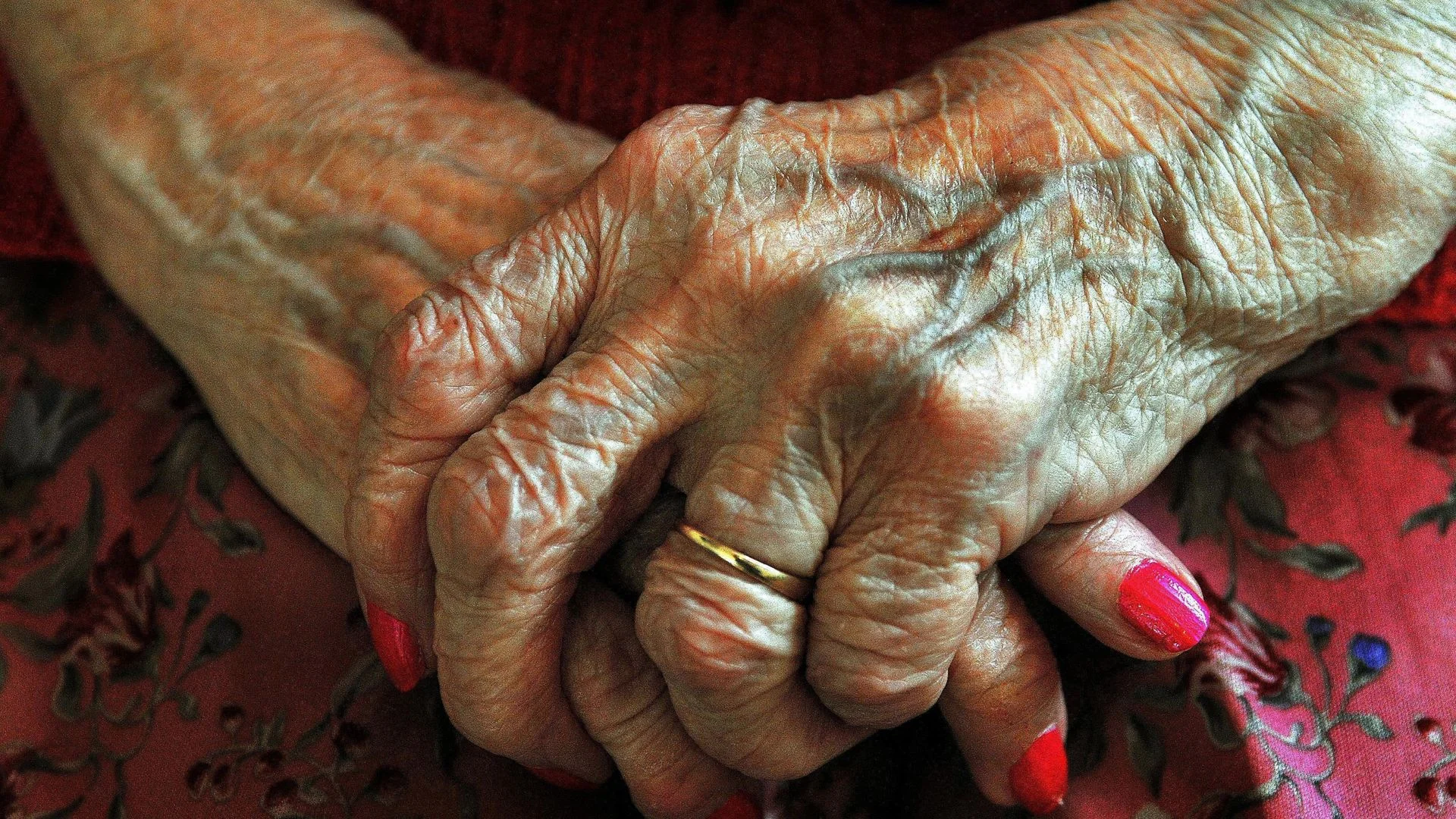 Ozempic-maker's shares plunge after failed Alzheimer's trial