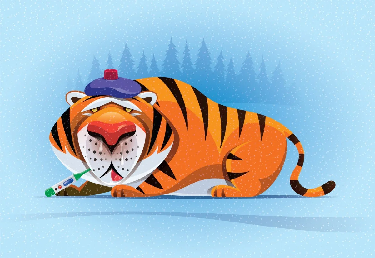 Tiger Global plans cautious venture  future with a new $2.2B fund